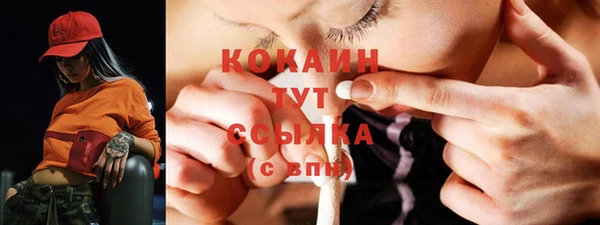 стаф Аркадак