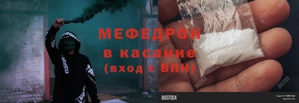 стаф Аркадак