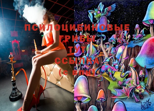 эйфоретик Армянск
