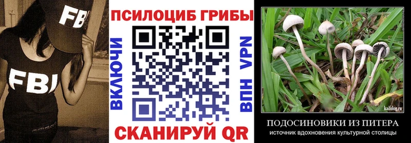 Псилоцибиновые грибы Psilocybe  Звенигово 